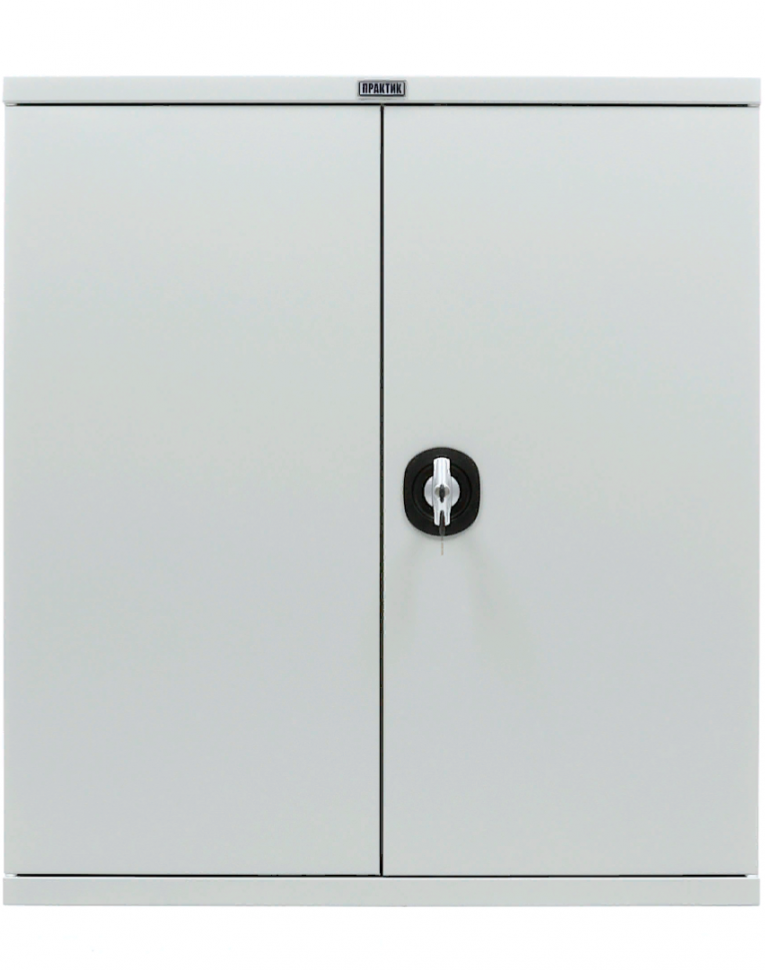 Шкаф Практик СВ-11 купить в Москве