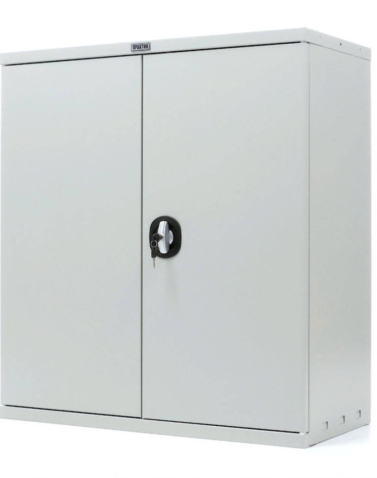 Шкаф Практик СВ-11 купить в Москве