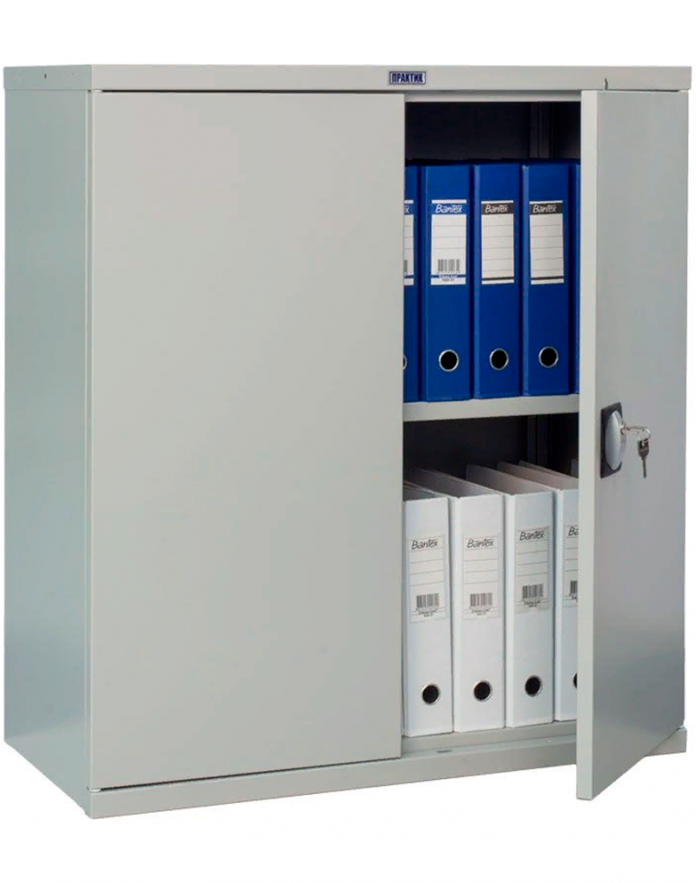 Шкаф Практик СВ-21 купить в Москве