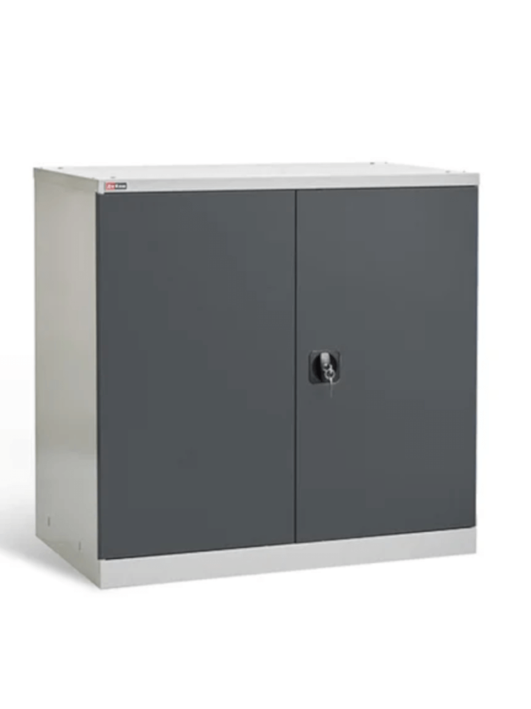 Шкаф инструментальный ДиКом ВЛ-051-02 купить в Москве Шкаф инструментальный ДиКом ВЛ-051-02 купить в Москве