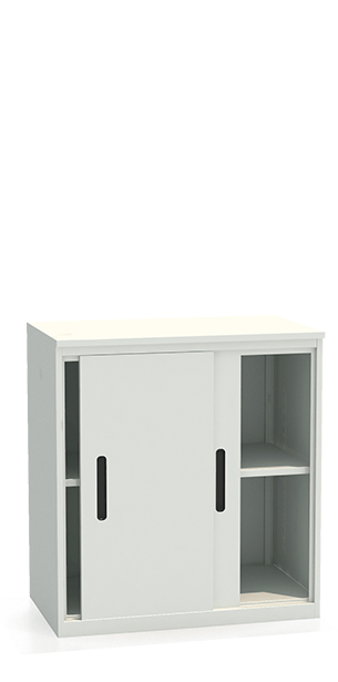 Шкаф-купе архивный ALS-8896 купить в Москве