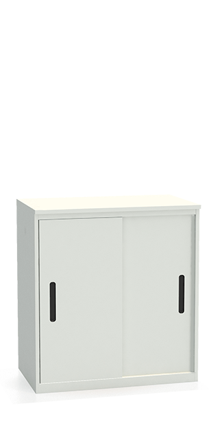 Шкаф-купе архивный ALS-8896 купить в Москве